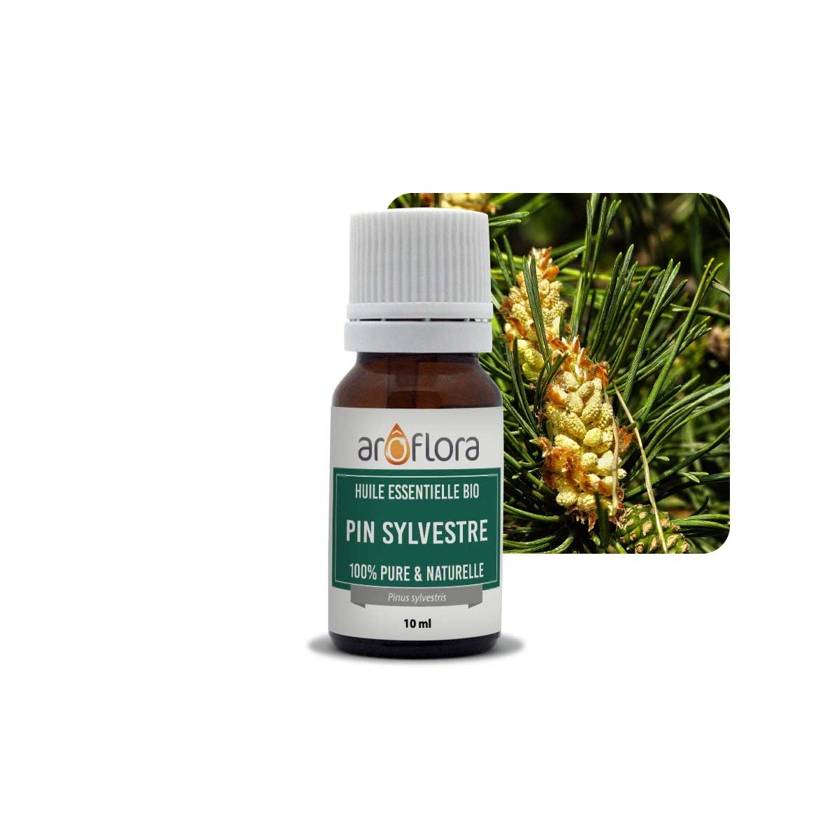 lot de 6 huiles essentielles 6x10 ml Bergamote zeste HE Italie