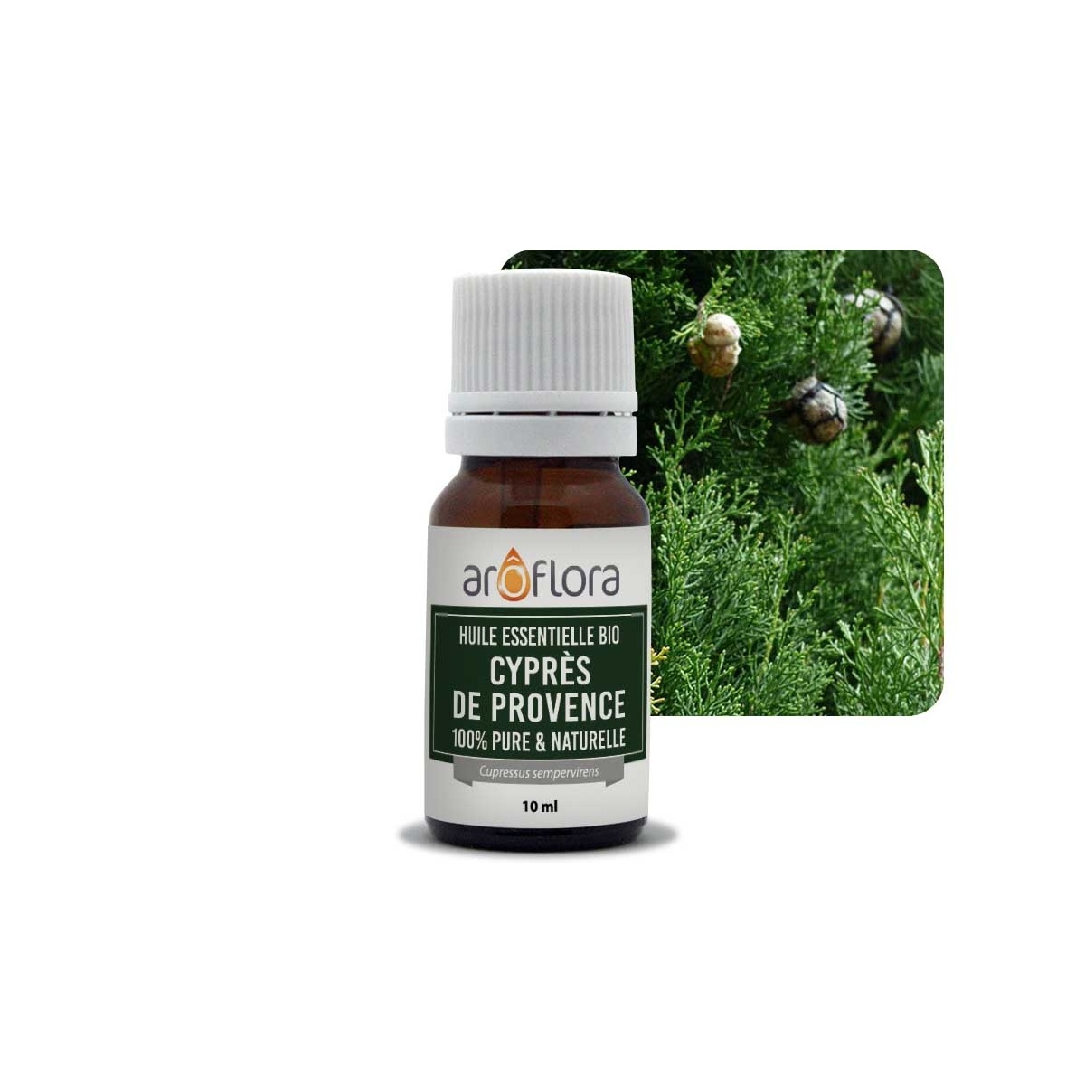 Cyprès de Provence HE France 10ml