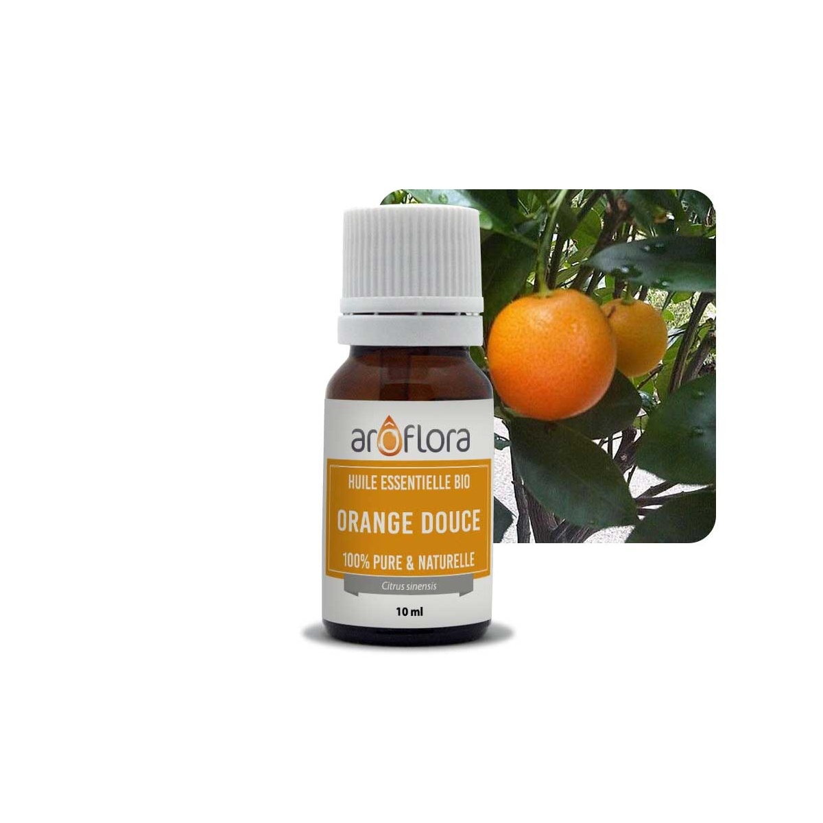 Huile essentielle d'Orange 100% pure et naturelle, 10ml