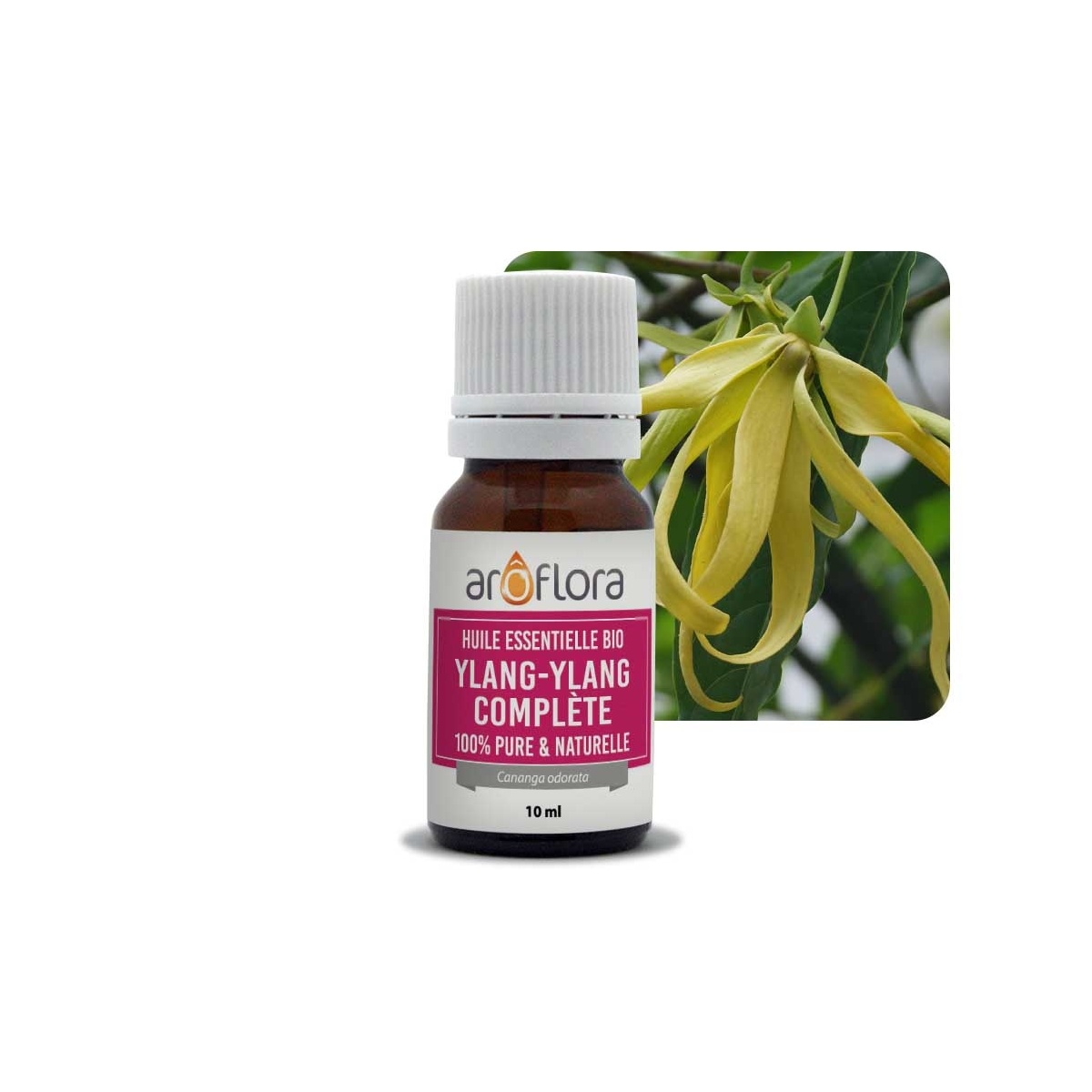 Huile essentielle BIO d'Ylang Ylang 100% pure et naturelle, 10ml