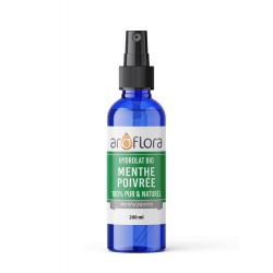 Menthe poivrée 100ml HA France