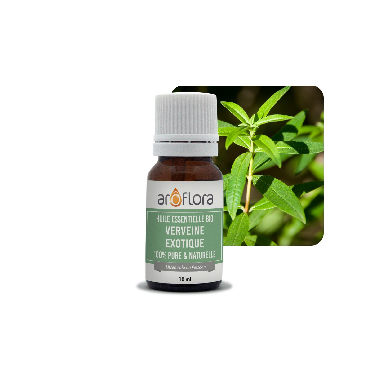 lot de 6 huiles essentielles bio 6x10 ml Verveine exotique